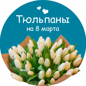 Купить тюльпаны в Камышлове
